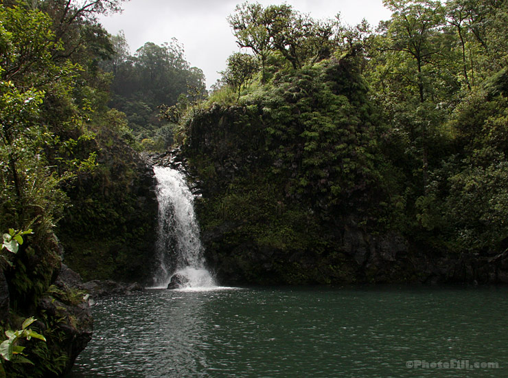 Hawaiian Rainforest Falls