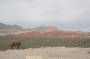 1328-0214-Red-Rock-Canyon 