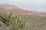 1337-022-Red-Rock-Canyon4 